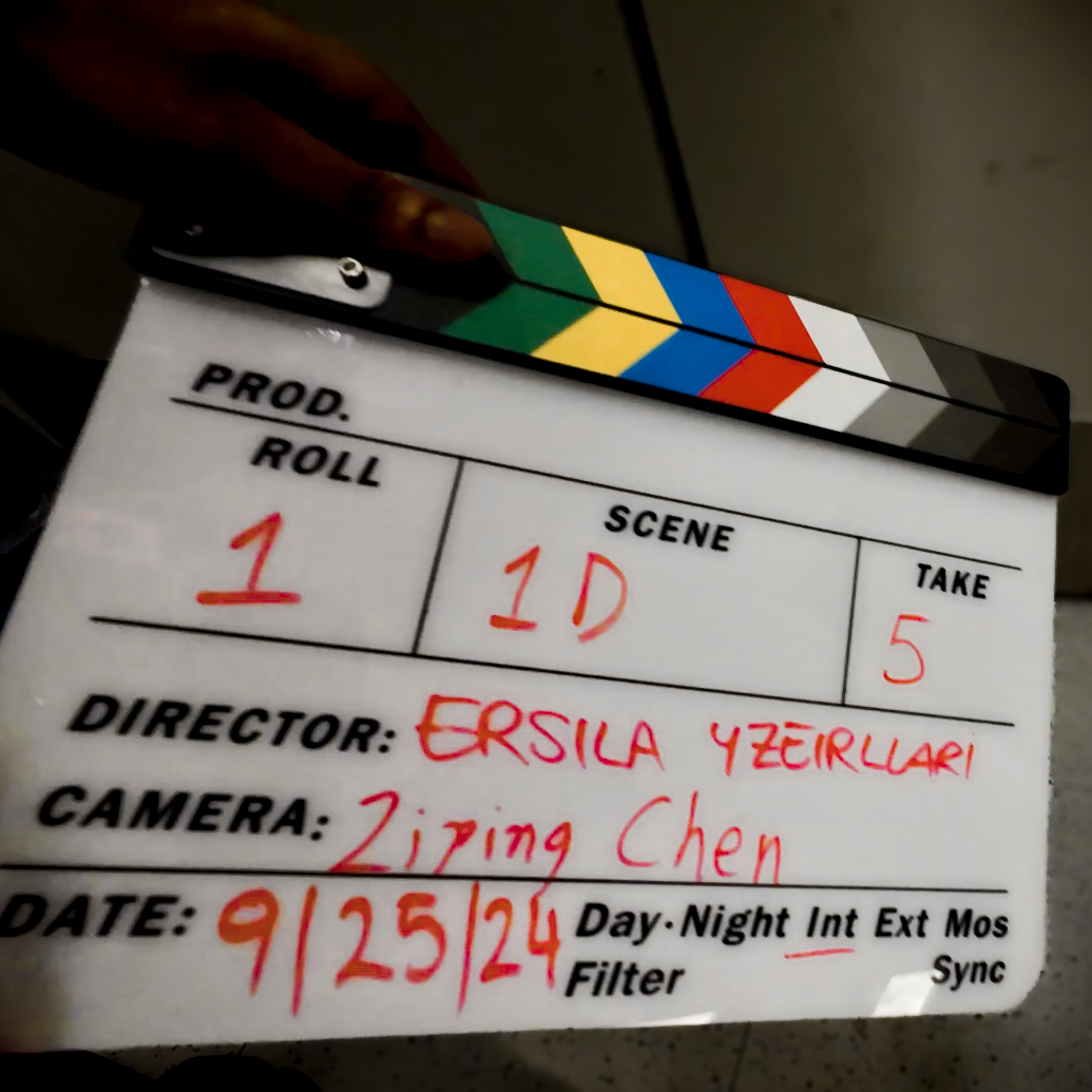 2024.9-2025.5 – Showreel
